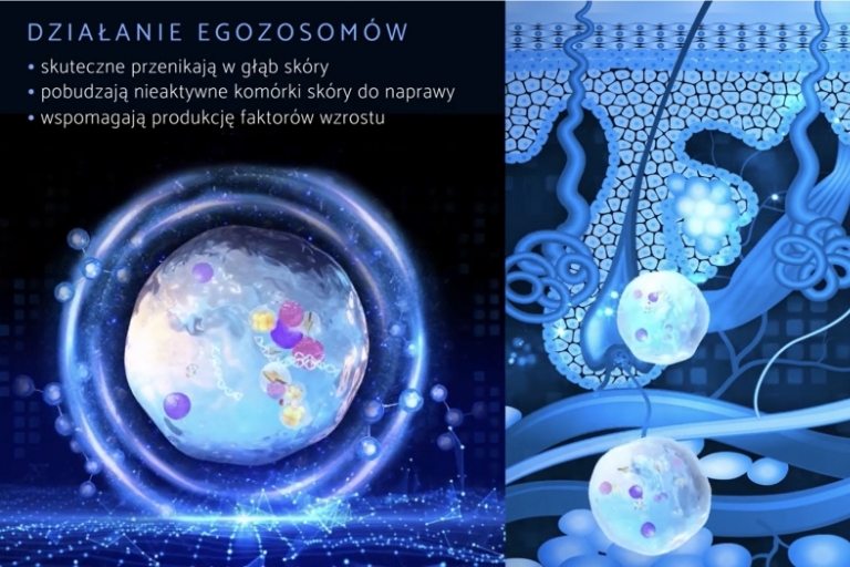 Egzosomy – przełom w kosmetologii. Jak działają i jak wspomagają terapie anti-aging
